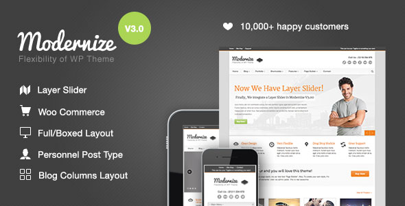 Modernize v3.3.1 - Flexibility of Wordpress