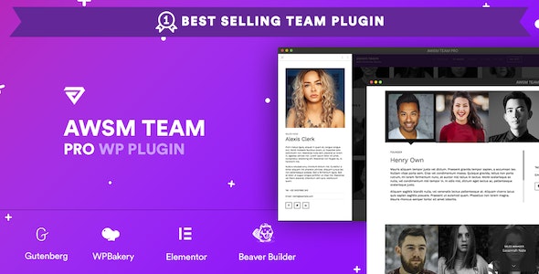 The Team Pro v1.6.1 - Team Showcase WordPress Plugin