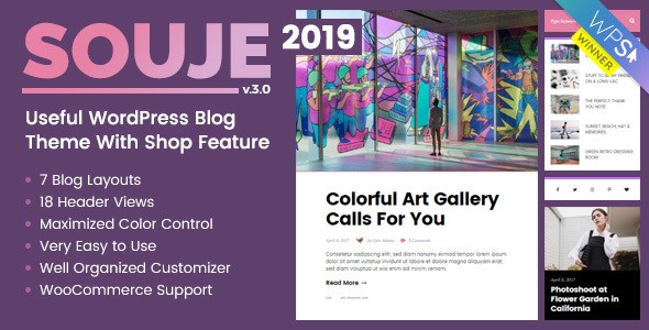 Souje v4.0 - Personal WordPress Blog Theme