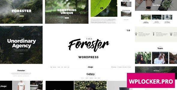 The Forester v1.3.6 - WordPress Minimalist Portfolio Theme