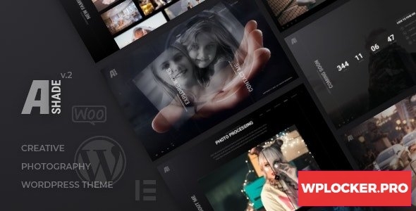 Ashade v2.0 - Photography WordPress Theme