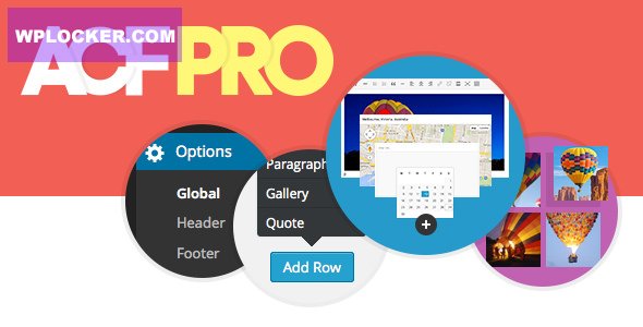 Advanced Custom Fields Pro v6.6.1