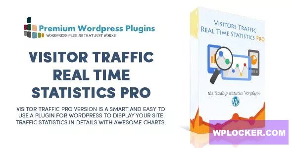 Visitor Traffic Real Time Statistics Pro v11.3
