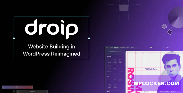 Droip v2.3.10 - No-Code website builder for WordPress