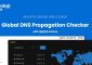 Global DNS v2.3.0 – Multiple Server – DNS Propagation Checker – WP