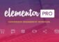 Elementor Pro v3.11.4 – The Most Advanced Website Builder Plugin NULLED