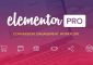 Elementor Pro v3.12.2 – The Most Advanced Website Builder Plugin