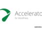 Seraphinite Accelerator v2.27.46