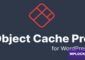 Redis Cache Pro v1.25.0