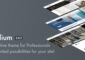 Kalium v2.9.3 - Creative Theme for Professionals