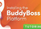 BuddyBoss Platform v1.2.9.1 + BuddyBoss Theme v1.4.1