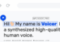Voicer v2.1.0 – Text to Speech Plugin for WordPress