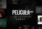 Pelicula v1.0 – Video Production and Movie Theme