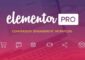 Elementor Pro v3.0.2