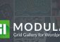 Modula Pro v2.4.0 + Addons