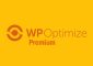 WP-Optimize Premium v3.0.15