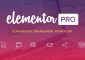 Elementor Pro v3.3.1