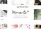 Moments v2.2 – Wedding & Event Theme